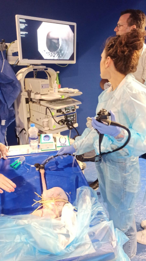 EASL 2023 - Skill Learning sanguinamento da varici 1
