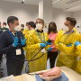 Formazione endoscopica 2